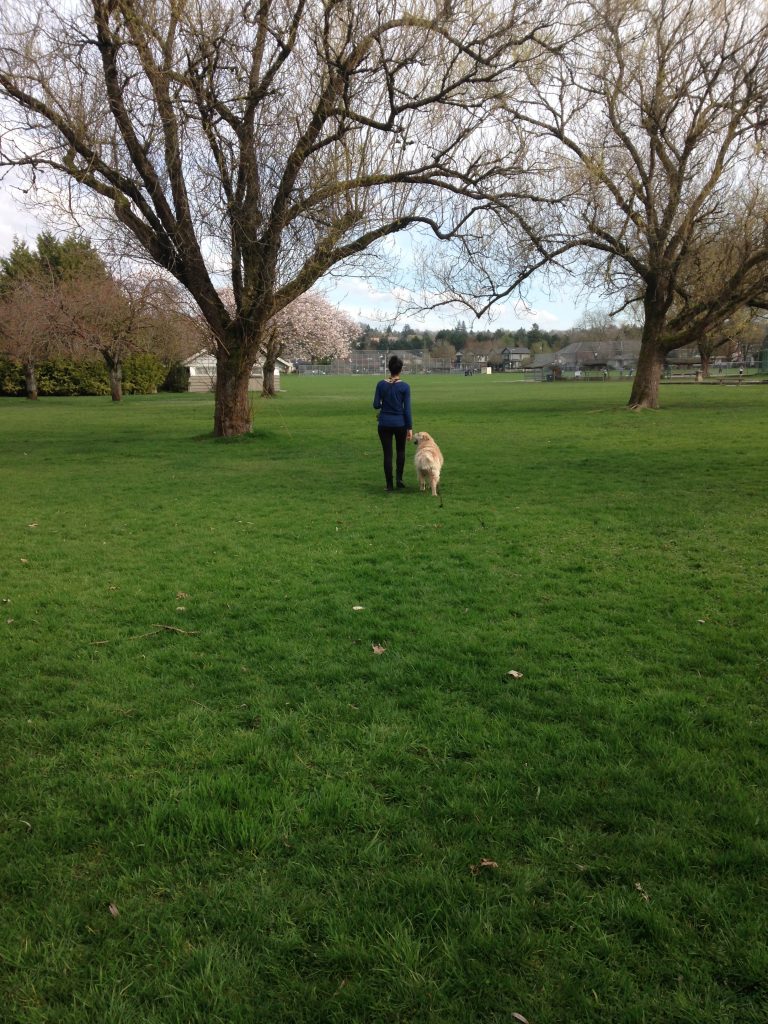 A person and a dog walking in a park.