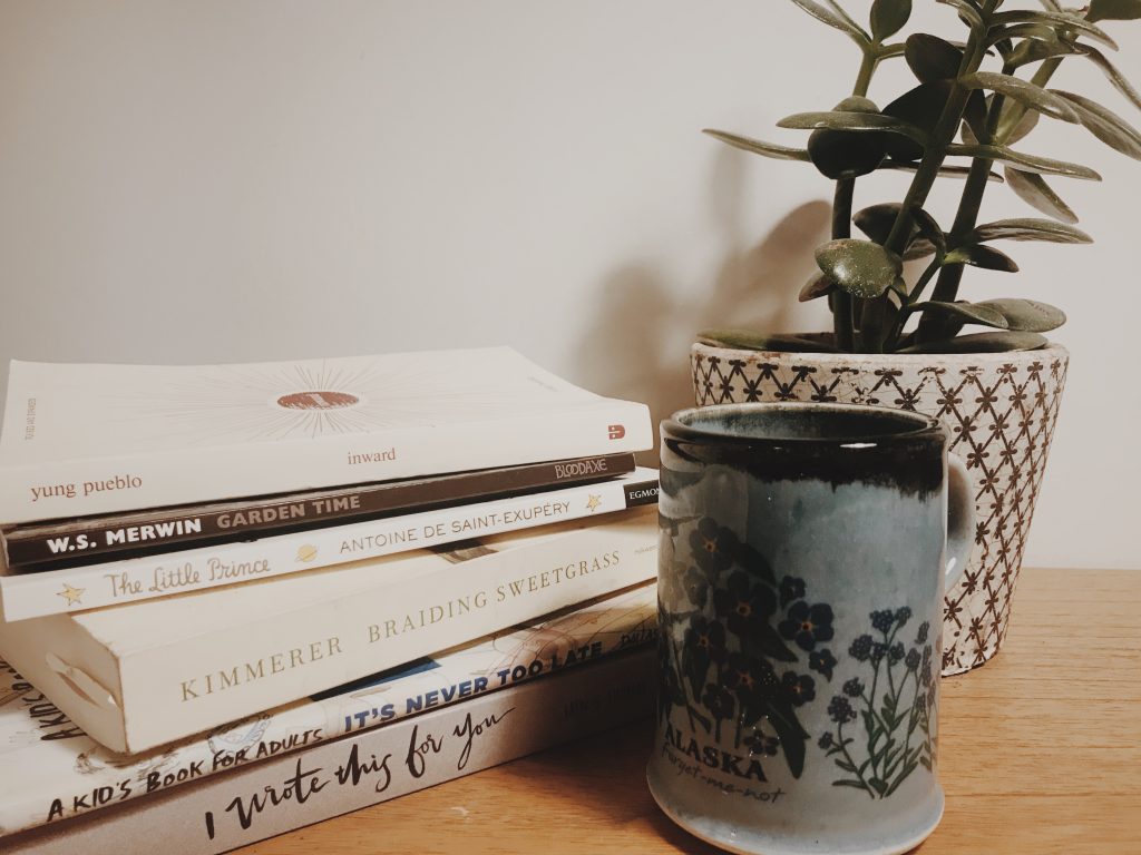 picture of books with mug of tea and jade plant