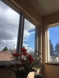 A picture of a window looking out onto a blue sky. 