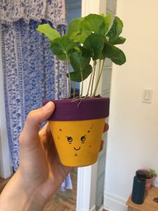 A flower pot with a design on it. 