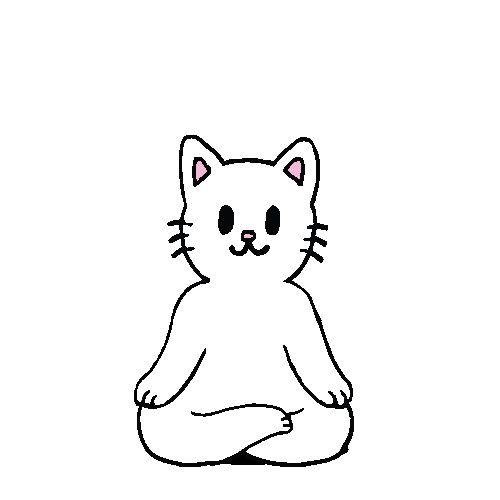 A picture of a cat meditating 