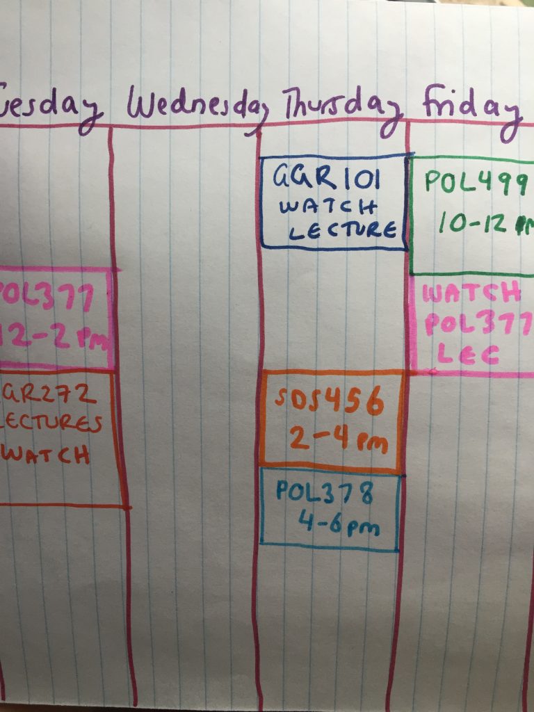 A picture of a schedule representing synchronous and asynchronous lecture times