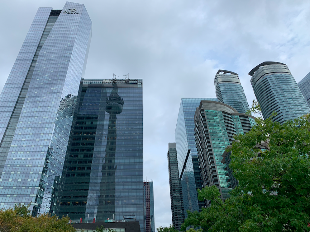 picture of high-rising toronto buildings and skyscrapers