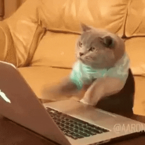 A gif of a cat typing at a computer 