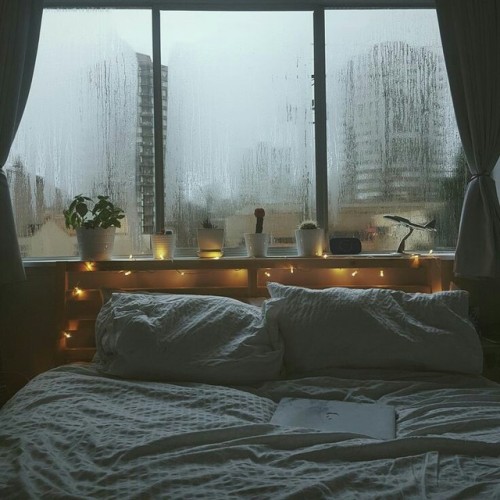 Bed under winder surrounded by decorative lights, On the window sill, there are small potted plants. Through the fogged window, there is the city skyline.