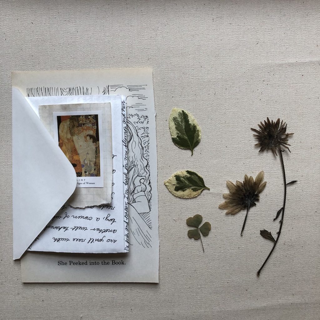Letter and pressed flowers.