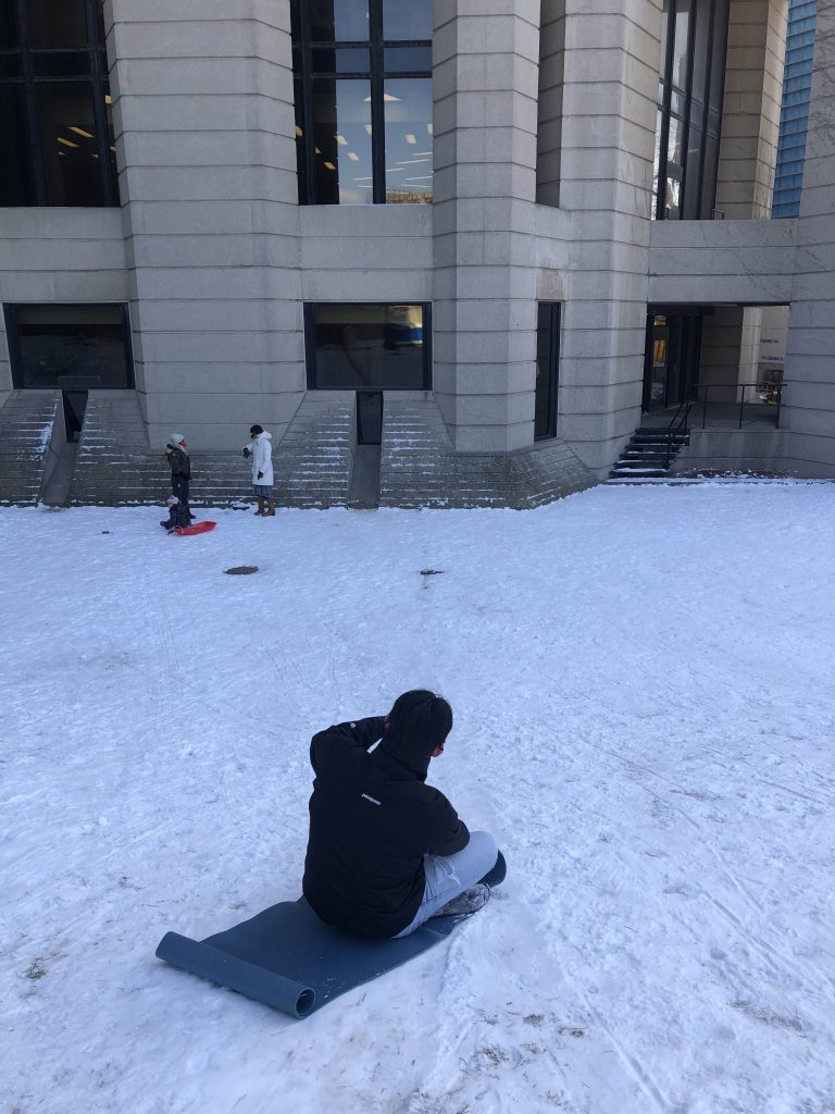 The back profile of someone sledding down a hill by Robarts Library on the St. George campus