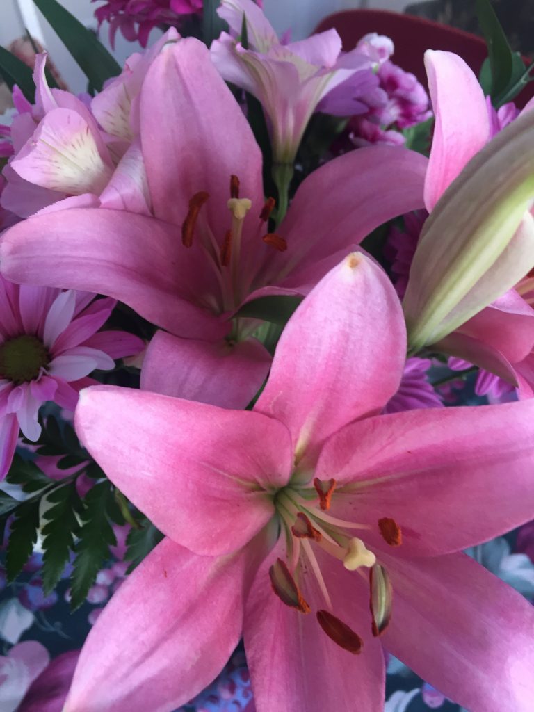 A picture of large pink blowers in a vase