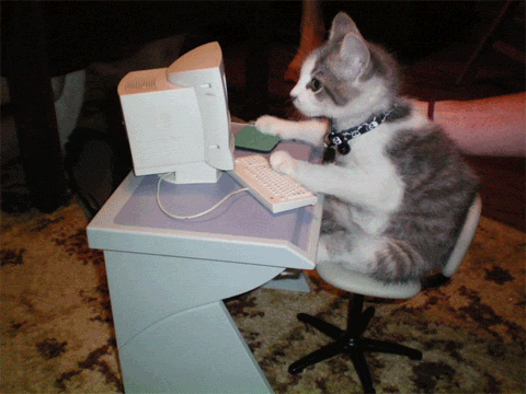 A gif of a cat typing at a computer