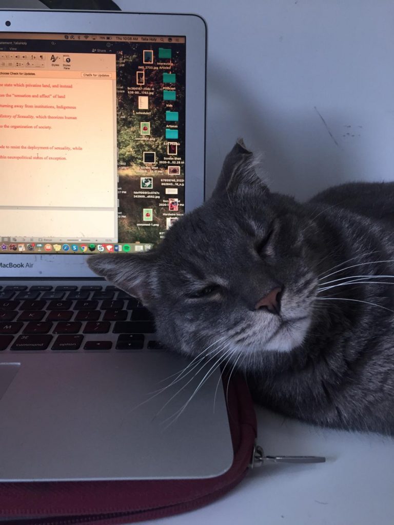 A picture of a cat sleeping on a laptop