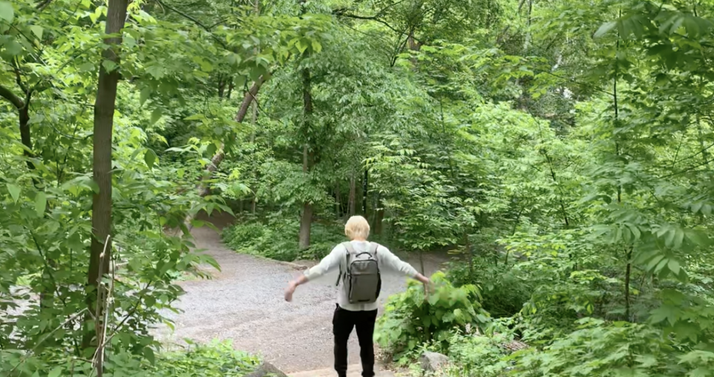 back profile of someonee walking down a wooded trail