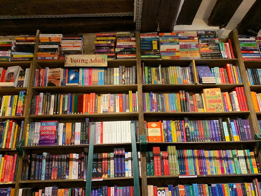 rows of bookshelves filled to the brim with young adult novels