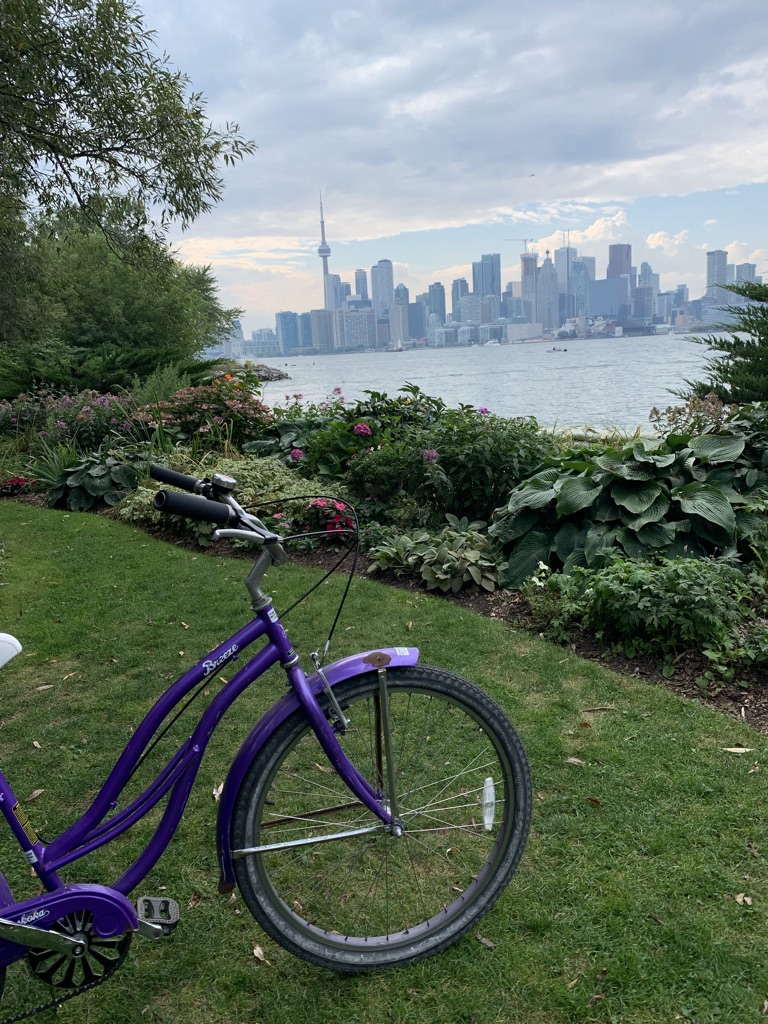 a purple bike and greenery in front of the Toronto skyline and CN tower behind Lake Ontario