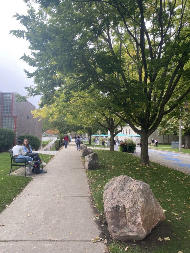 view of campus ally with trees and people walking