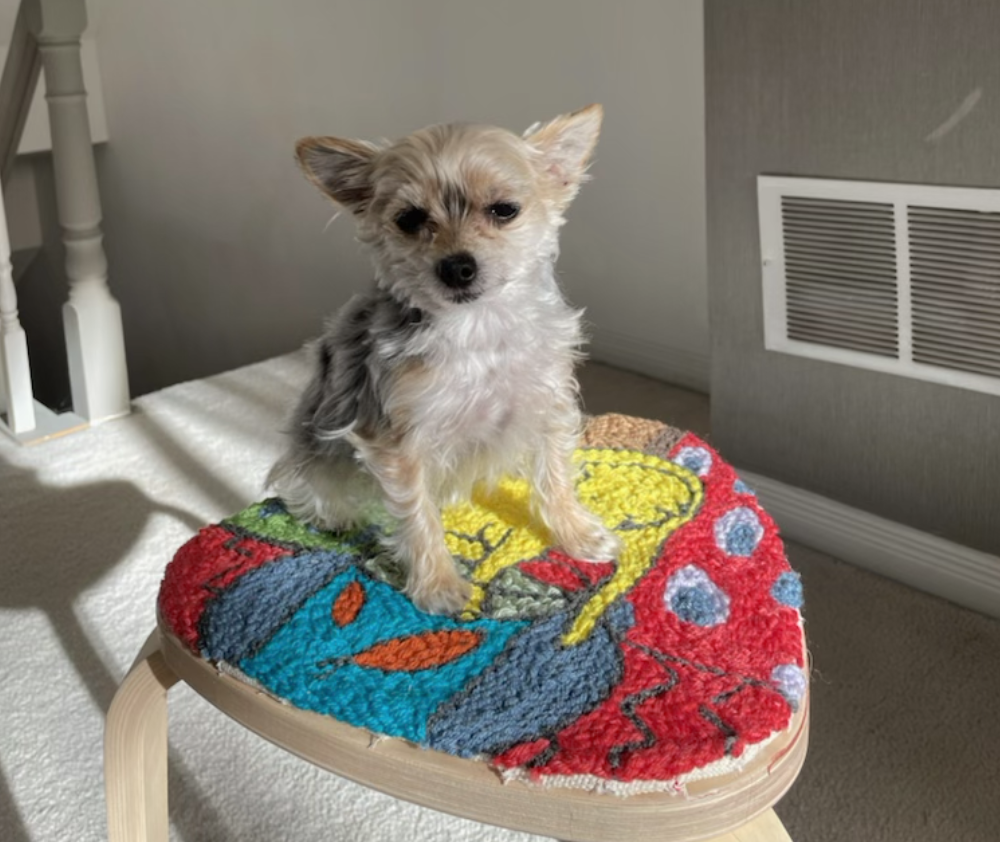 Dog sitting on an embroidered stool top with a cat that I made as a gift.