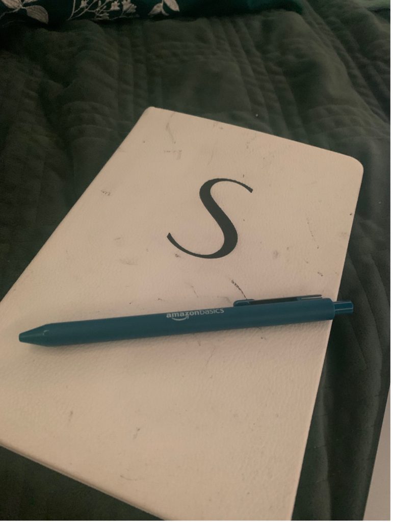"S" Journal with a blue pen on top 