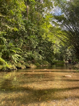 Picture of Caura River, Trinidad and Tobago 