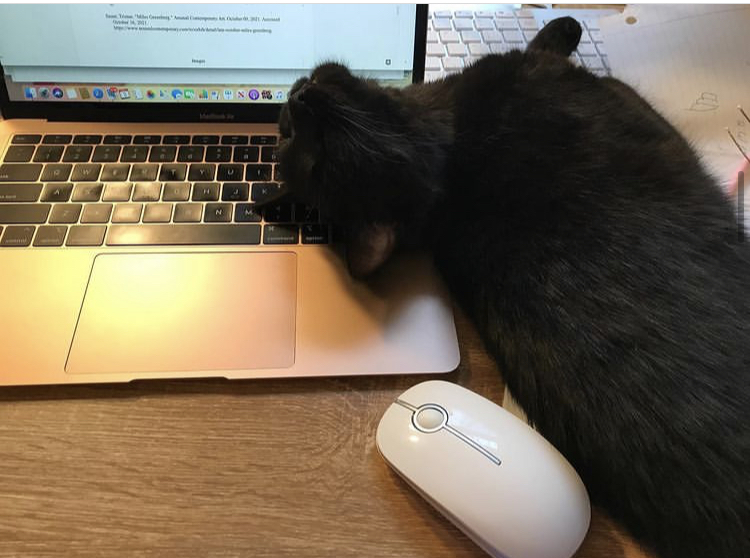 Black cat sleeping on laptop keyboard with computer mouse next to her.