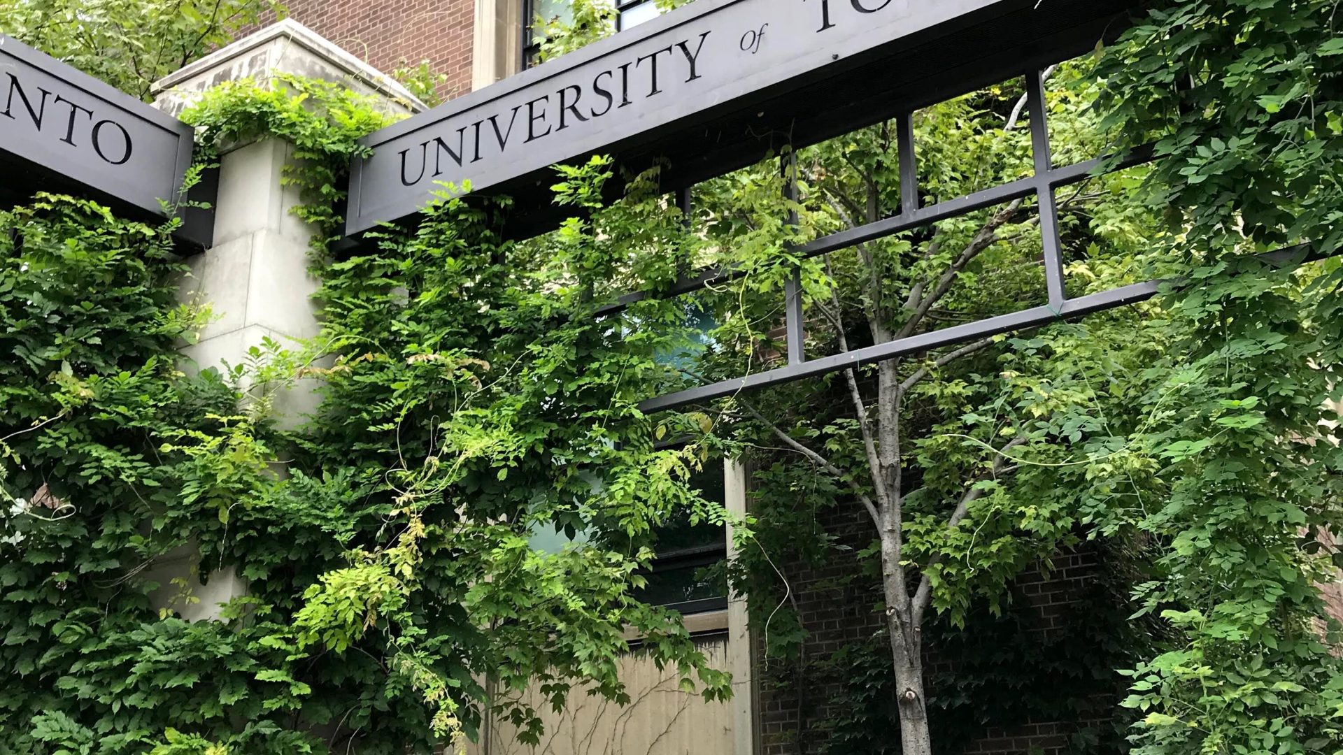 View of the 2018 UofT Campus