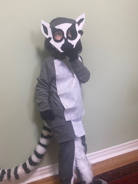 Costume of a ring-tailed Lemur