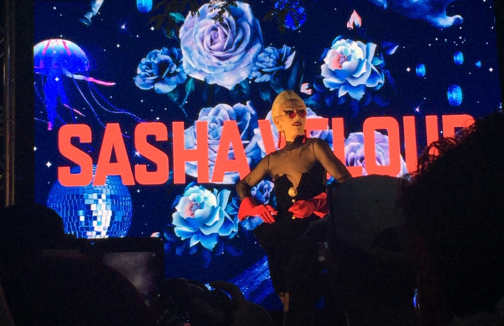 Picture of Sasha Velour performing on stage.