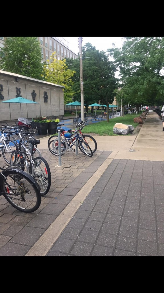 A picture outside Lash Miller with Bicycles.