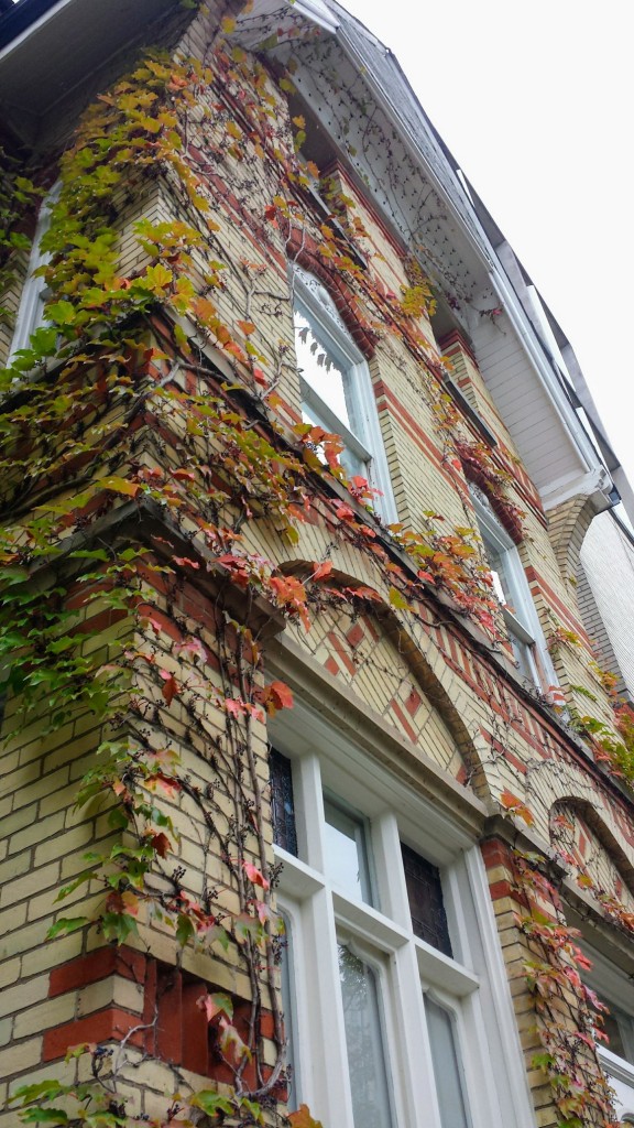 An upward tilted photo of an older building, lined with leaves