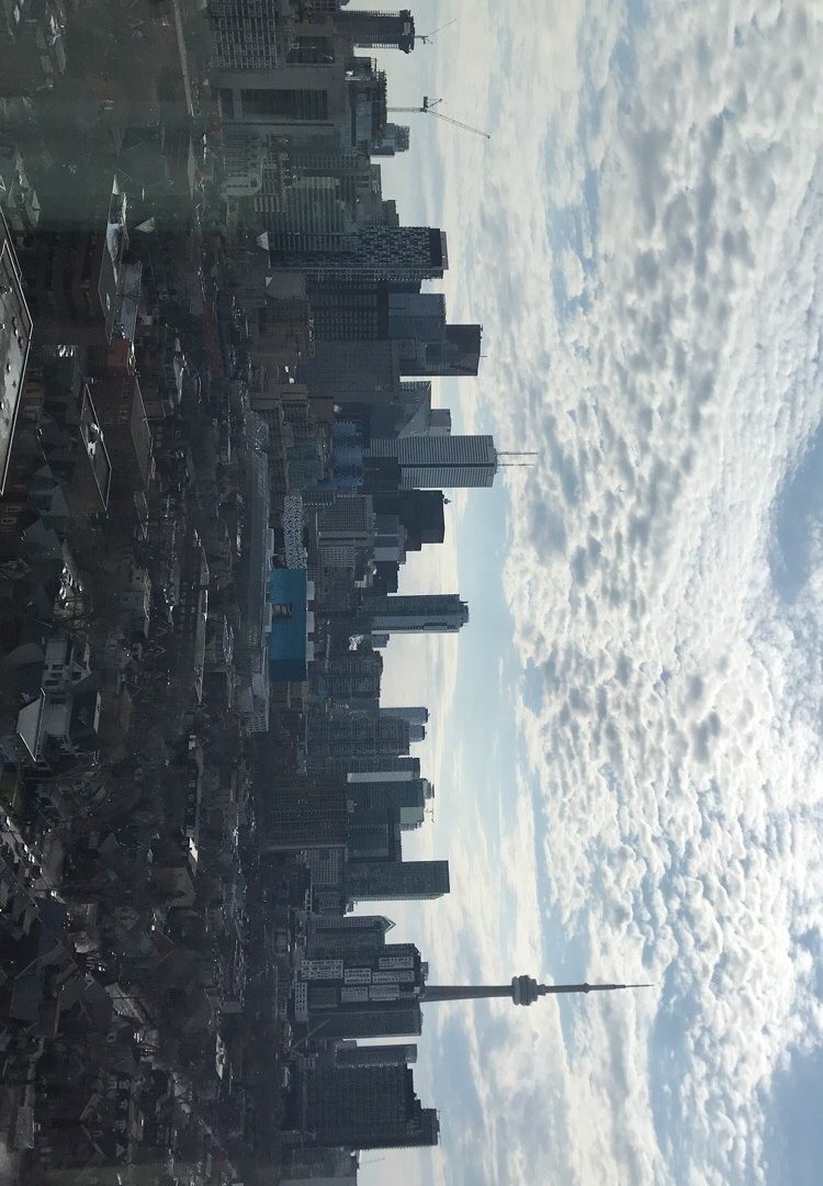 A picture of the entire City of Toronto