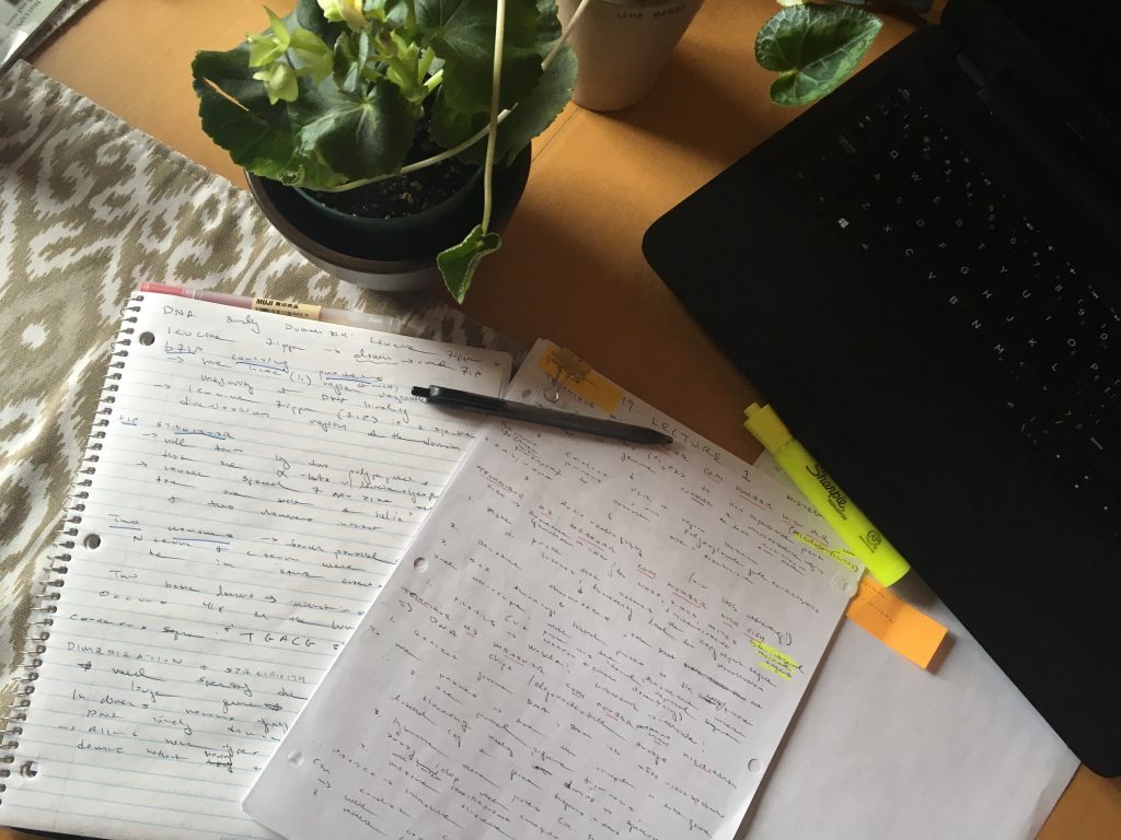 Photograph of written out notes, plant and laptop