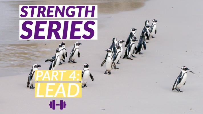 Strength Series - Part 4: Lead banner with a group of penguins in the background