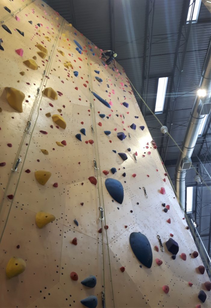 A girl at the top of a tall rock-climbing wall.
