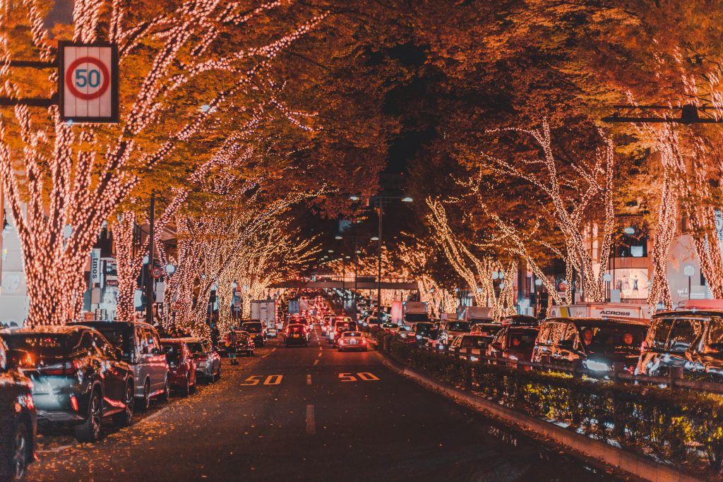 Christmas lights lining trees down a long street.