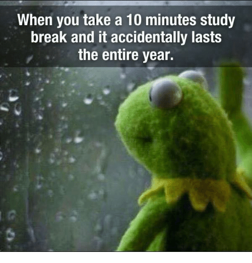 A kermit the frog mem of him looking out a rainy window, with the caption "when you take a 10 minute study break and it accidentally lasts the entire year."