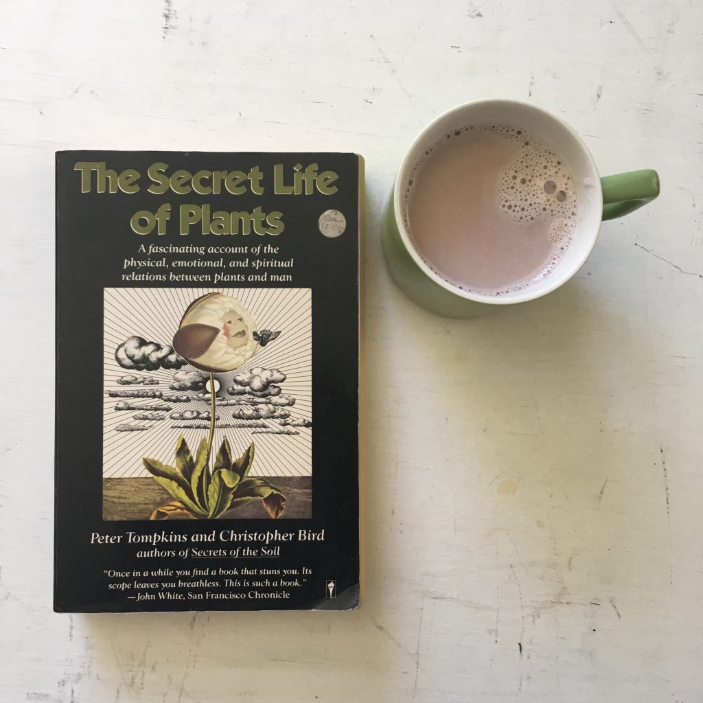 Front cover of the book "The secret Life of Plants" with a mug of hot chocolate beside it.