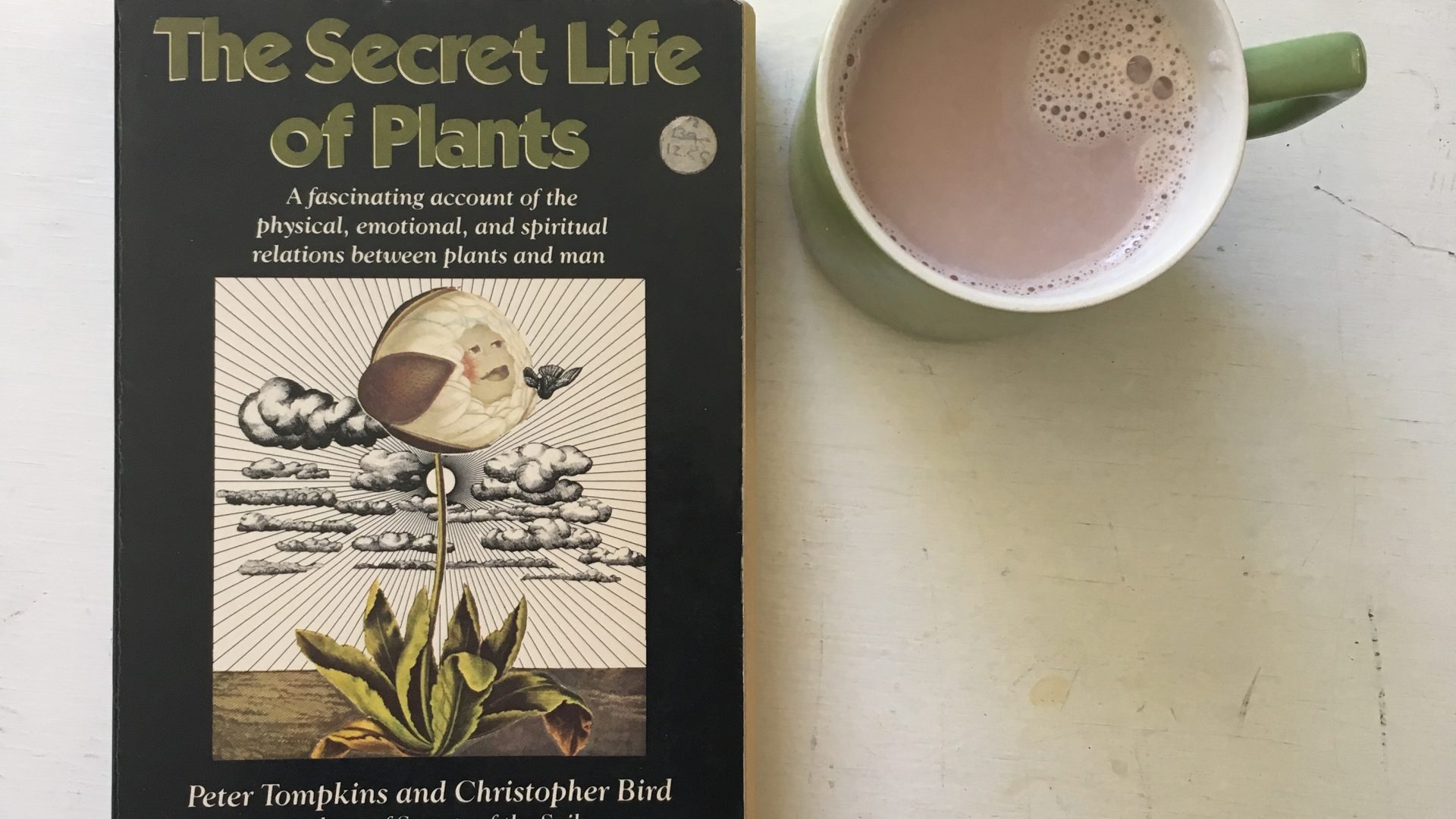 Front cover of the book "The secret Life of Plants" with a mug of hot chocolate beside it.