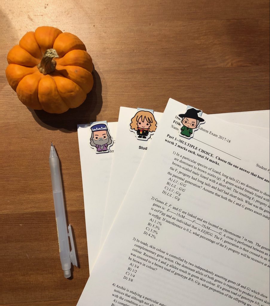 Picture of practice HMB midterm packages and a pumpkin in the corner of the table.