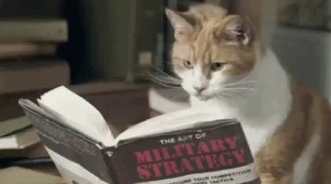 A gif of a cat reading a book