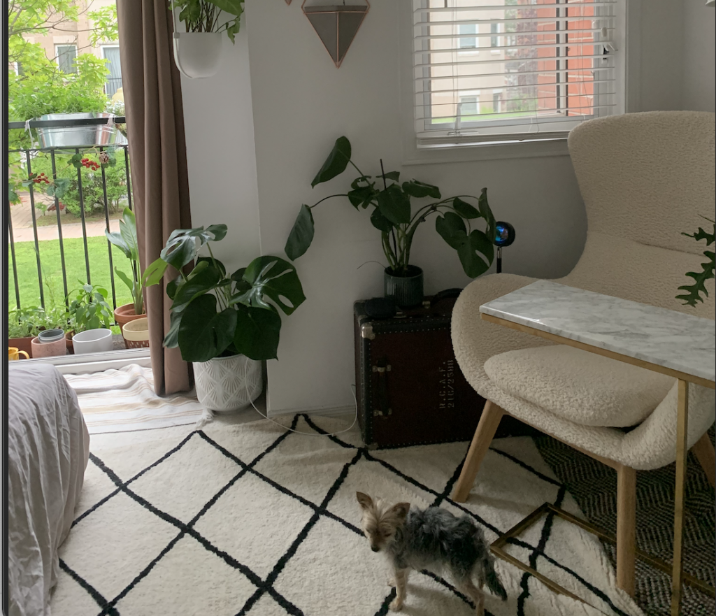 a bedroom with many plants and a fluffy arm chair